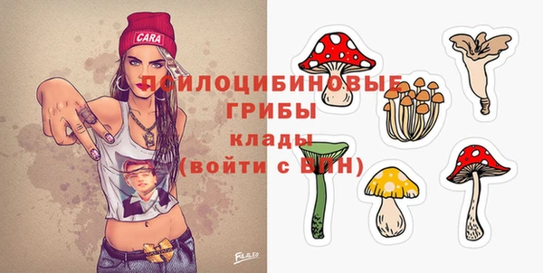крисы Белоозёрский