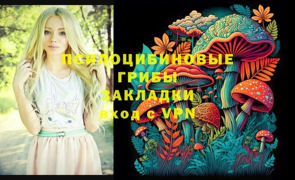 крисы Белоозёрский