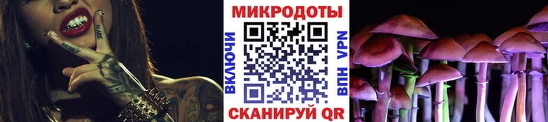 OMG   Костерёво  Псилоцибиновые грибы Psilocybine cubensis 